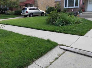 Annabel N.'s Lawn Service service result