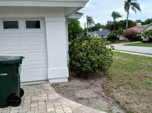 Leaf Removal by sergio beltran for Toni S. in Sarasota, FL
