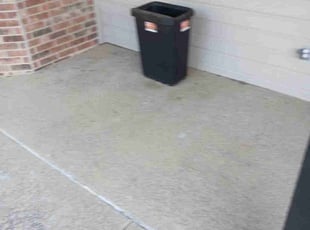 Leaf Removal by Shannon Carnes for Avi M. in Burleson, TX