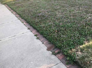 Weeding by Paul Handley for Jo F. in Tulsa, OK