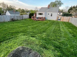 Stacy P.'s Lawn Service service result