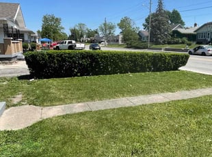 Angie M.'s Lawn Maintenance service result