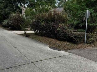 Bush Trimming by Jeremy Washington for Steve k. in Covington, LA