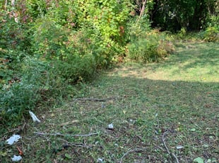 Cleanups by Anthony Anderson for Toby D. in Highland Park, MI