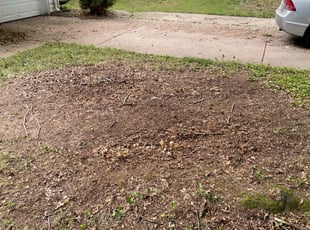 Leaf Removal by Derrick Conn for Jacob M. in Kansas City, MO