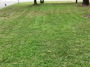 Carla B.'s Lawn Service service result