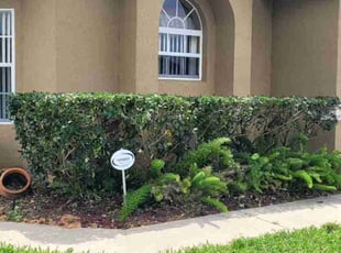 Bush Trimming by Ralph Graham for Roland C. in Kissimmee, FL