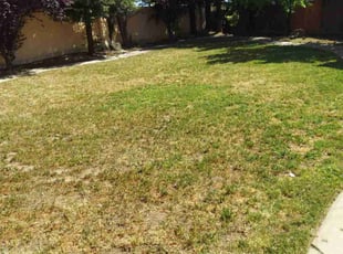 Weeding by Katrina Keener for Rosemary H. in Tracy, CA