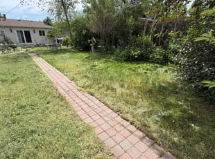 Cleanups by Jason Hernandez for Gwen S. in Englewood, CO