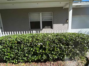 Bush Trimming by Ramon Taguja for Tasha B. in Valrico, FL