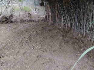 Cleanups by Sergio Castaneda for Shelby B. in San Diego, CA