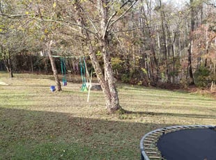 Leaf Removal by Dejean Ross for Lynn C. in Lexington, SC