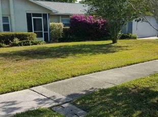 Joyce B.'s Lawn Mowing Service service result