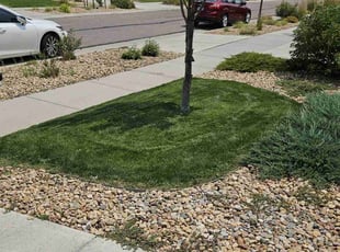 David C.'s Lawn Care service result