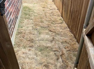 Leaf Removal by Dusty Posey for Tayton M. in Denton, TX