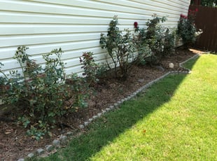 Weeding by Robert Stinson for Jessie J. in Loganville, GA