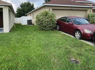 Bush Trimming by Widalbert Ortiz for Kimberley T. in Davenport, FL