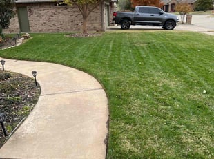 Stacy C.'s Lawn Care service result