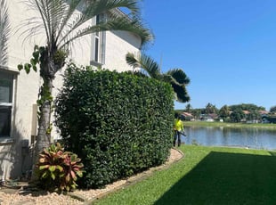 Bush Trimming by Charles Walton for Jessica J. in Lake Worth, FL
