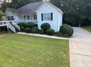 Samara H.'s Bush Trimming service result