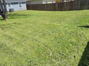 Cleanups by Ernest Howard for Dan K. in The Colony, TX