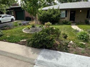 Leaf Removal by Justin Hands for ERICK H. in Denver, CO