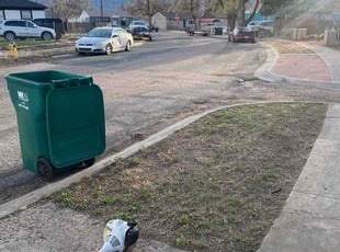 Cleanups by Sandra Fales for Tas K. in Colorado Springs, CO