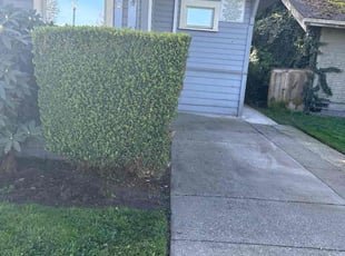 Bush Trimming by Socrates Cruz García for Tiffany D. in Puyallup, WA