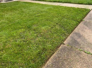 Sandra J.'s Yard Cutting service result