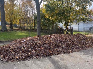 Cleanups by Demetrieus Bennett for Taylor T. in Lyndhurst, OH
