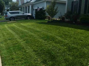 Diane S.'s Lawn Service service result