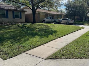 Jeanette H.'s Yard Cutting service result