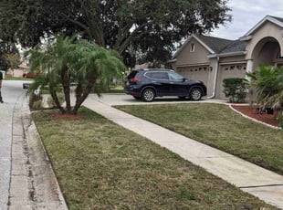 Bush Trimming by Louis Reele for Chereka K. in Land O' Lakes, FL