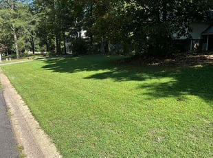 Tre D.'s Lawn Mowing Service service result