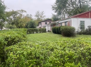 Bush Trimming by Fidel Baltazar for Bri F. in Sauk Village, IL