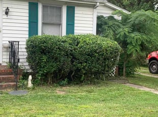 Bush Trimming by Jamel Evans for Tekeisha S. in Richmond, VA