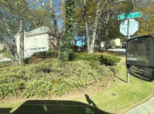 Joshua J.'s Bush Trimming service result