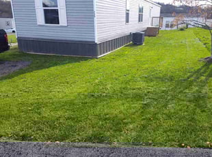 Ray S.'s Lawn Mowing Service service result