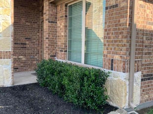 Bush Trimming by Dulce Aguirre for Colby H. in Porter, TX