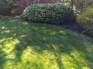 Leaf Removal by Stacie Jackson for April Z. in Lake Tapps, WA