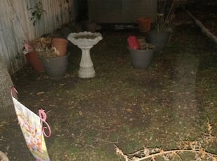 Leaf Removal by Dominic Weathersby for Pamela B. in San Antonio, TX