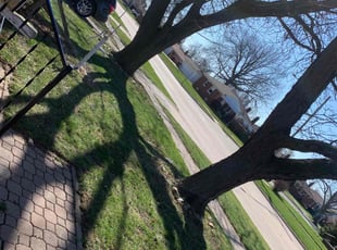 Cleanups by Kyle Yacko for Khahlila W. in Roseville, MI