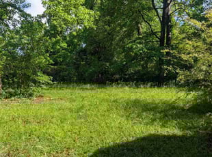 Cleanups by Michael Hale for Kristen L. in Mauldin, SC