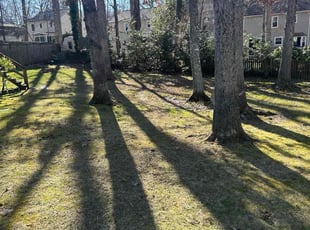 Leaf Removal by Joe Lee Jr for Sandra F. in Midlothian, VA