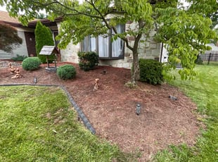 Weeding by Raymond Yates for Tracie M. in Cherry Hill, NJ