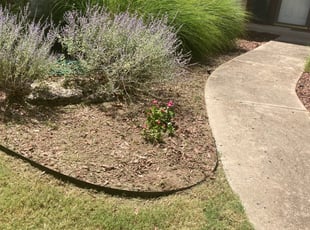 Weeding by Derek Nelson for Maribeth G. in Tulsa, OK