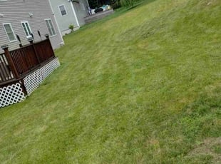 Jordan D.'s Lawn Care service result