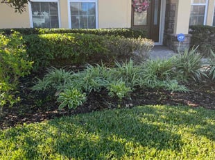 Cleanups by Carlton Turner for Stacey T. in Winter Garden, FL