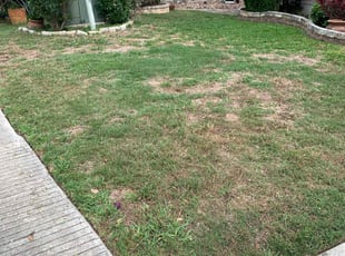 Bush Trimming by LaDaryl Maxville for Temitayo S. in Helotes, TX