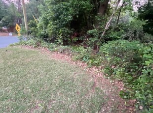 Bush Trimming by Ernso Sincere for Eric L. in Tallahassee, FL